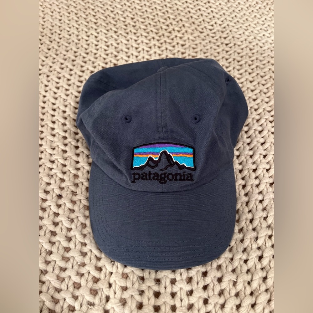 COPY - PATAGONIA DAD HAT